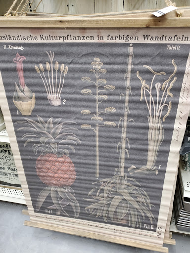 Craft Store «Michaels», reviews and photos, 1404 22nd St, West Des Moines, IA 50266, USA