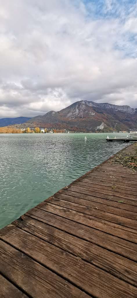 Photo n° 44 de l'avis de pascalsaintjames. fait le 20/11/2023 à 14:11