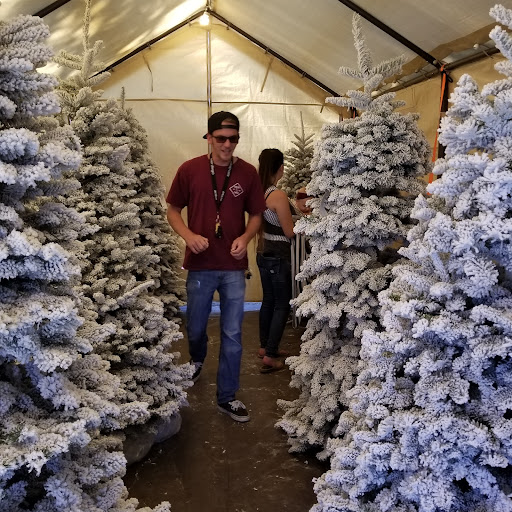 Christmas tree farm Escondido