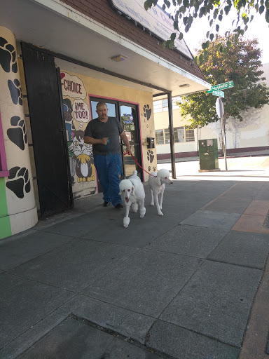 Pet Groomer «Pet Choice», reviews and photos, 4203 MacArthur Blvd, Oakland, CA 94619, USA