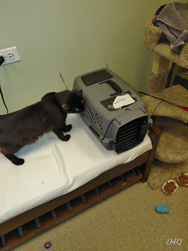 Pet Supply Store «Pet Supplies Plus», reviews and photos, 180 N Randall Rd, North Aurora, IL 60542, USA