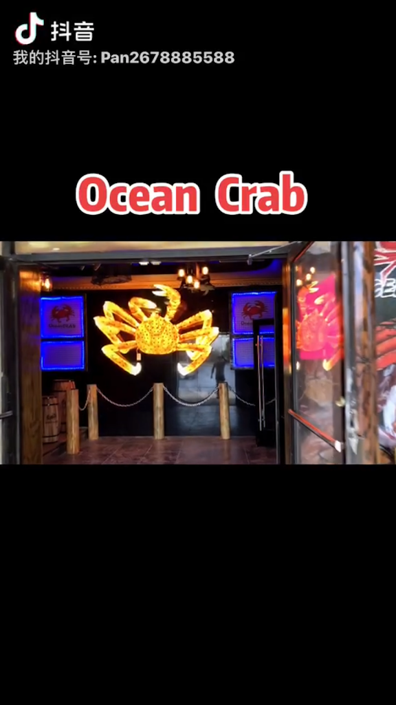 Ocean Crab Cajun Seafood & Bar 19153