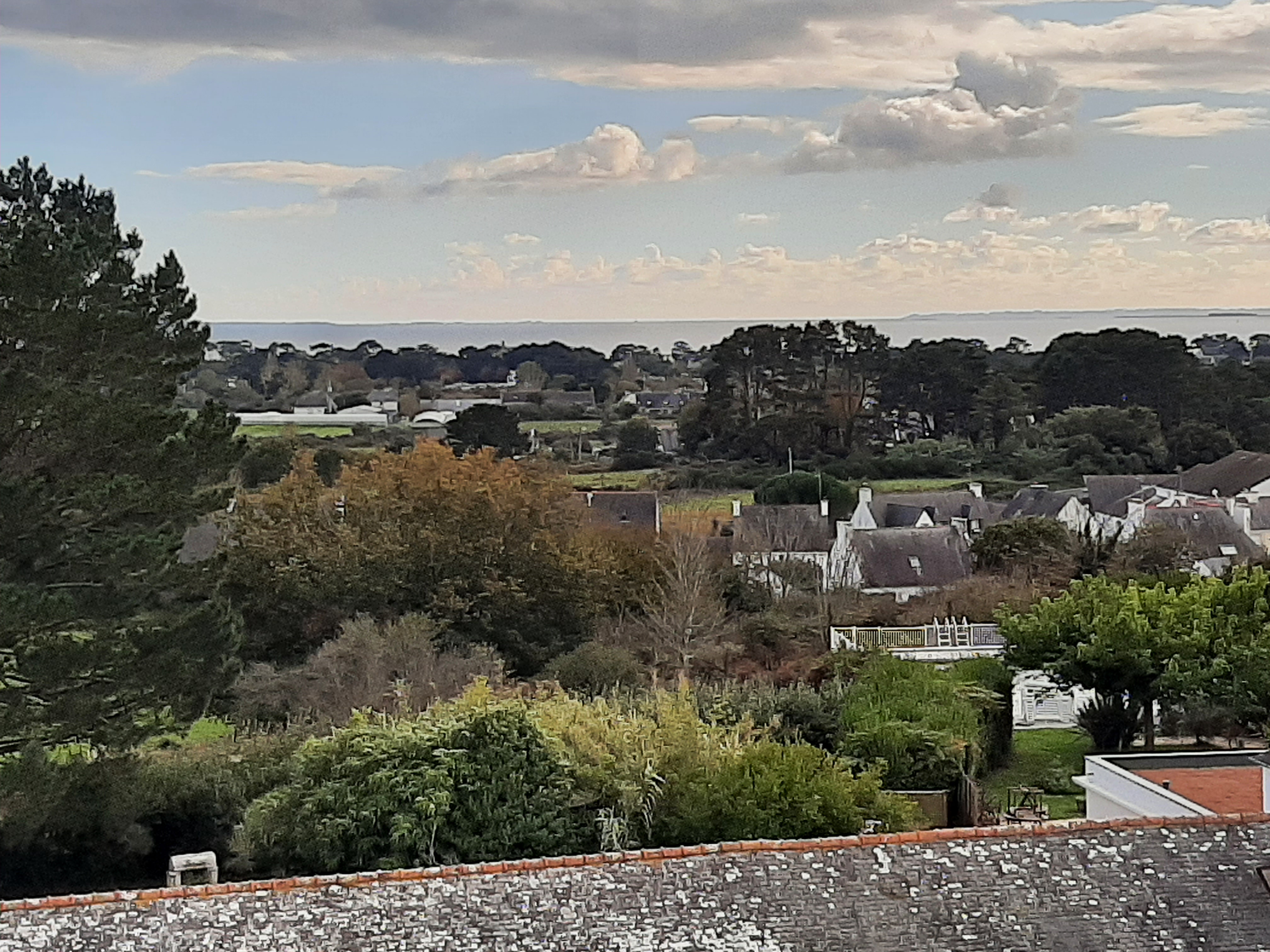Photo n° 2 de l'avis de François.E fait le 05/11/2021 à 07:29