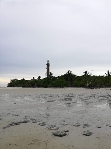 Tourist Attraction «IMAG History & Science Center (formerly Imaginarium Science Center)», reviews and photos, 2000 Cranford Ave, Fort Myers, FL 33916, USA