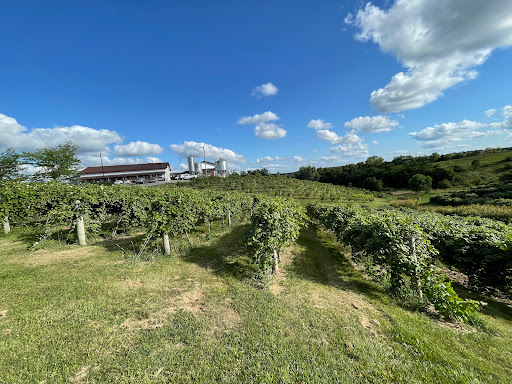 Vineyard «Cedar Ridge Winery & Distillery», reviews and photos, 1441 Marak Rd NW, Swisher, IA 52338, USA