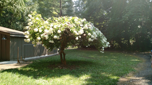 Amusement Park «Pacific NW Live Steamers», reviews and photos, 31803 S Shady Dell Rd, Molalla, OR 97038, USA