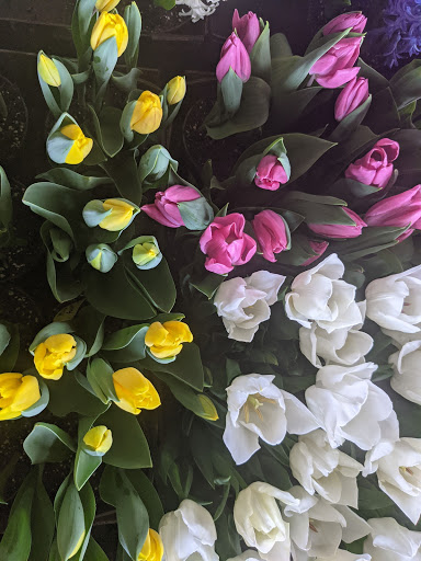 Wholesale Plant Nursery «Garden Fantasy», reviews and photos, 43250 Tyler Rd, Belleville, MI 48111, USA