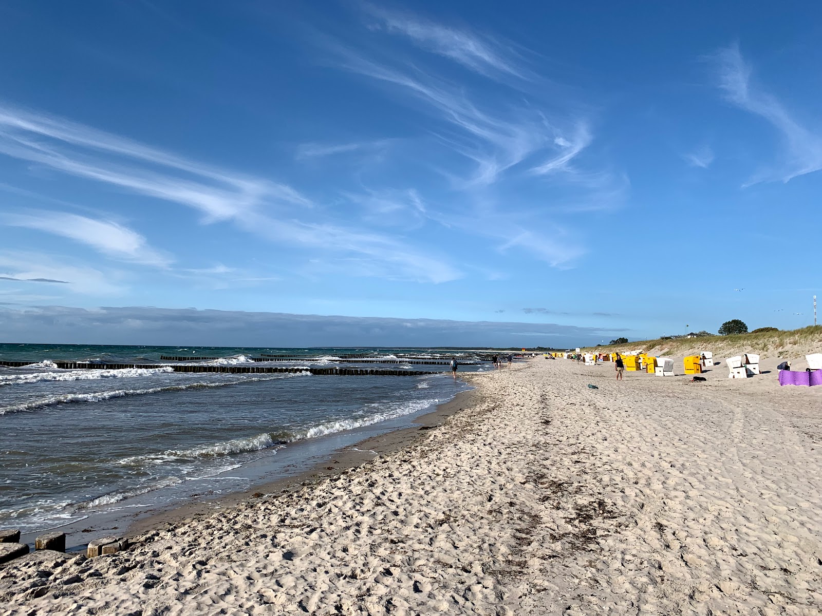 Strand Ahrenshoop'in fotoğrafı parlak kum yüzey ile