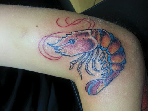 Explore raccoon tattoo ideas, creative tattoo ideas in Brunswick, available at Street Life Tattoos