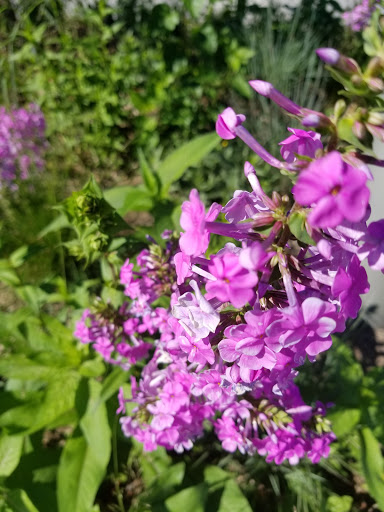 Park «Pierson Park», reviews and photos, 238 W Main St, Tarrytown, NY 10591, USA