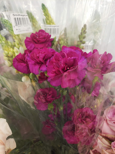 Grocery Store «Winn-Dixie», reviews and photos, 31100 Cortez Blvd, Brooksville, FL 34602, USA