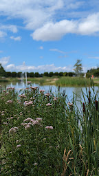 Photo n°2 de Plan d'eau de Lesquin à Lesquin ()