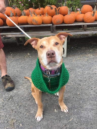 Farm «Fairmount Fruit Farm», reviews and photos, 887 Lincoln Street, Franklin, MA 02038, USA