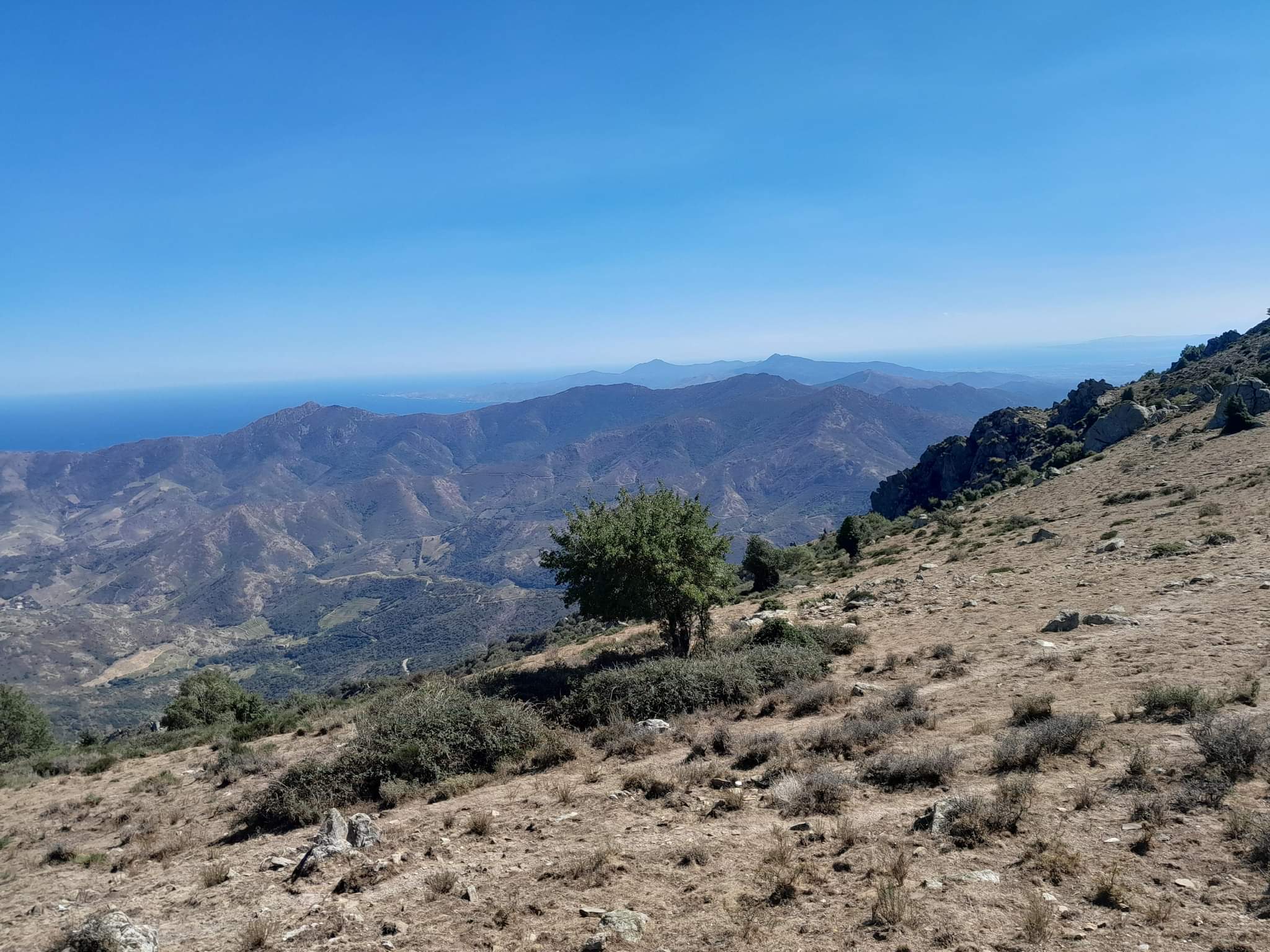 Photo n° 4 de l'avis de Nadege.a fait le 21/09/2022 à 13:22