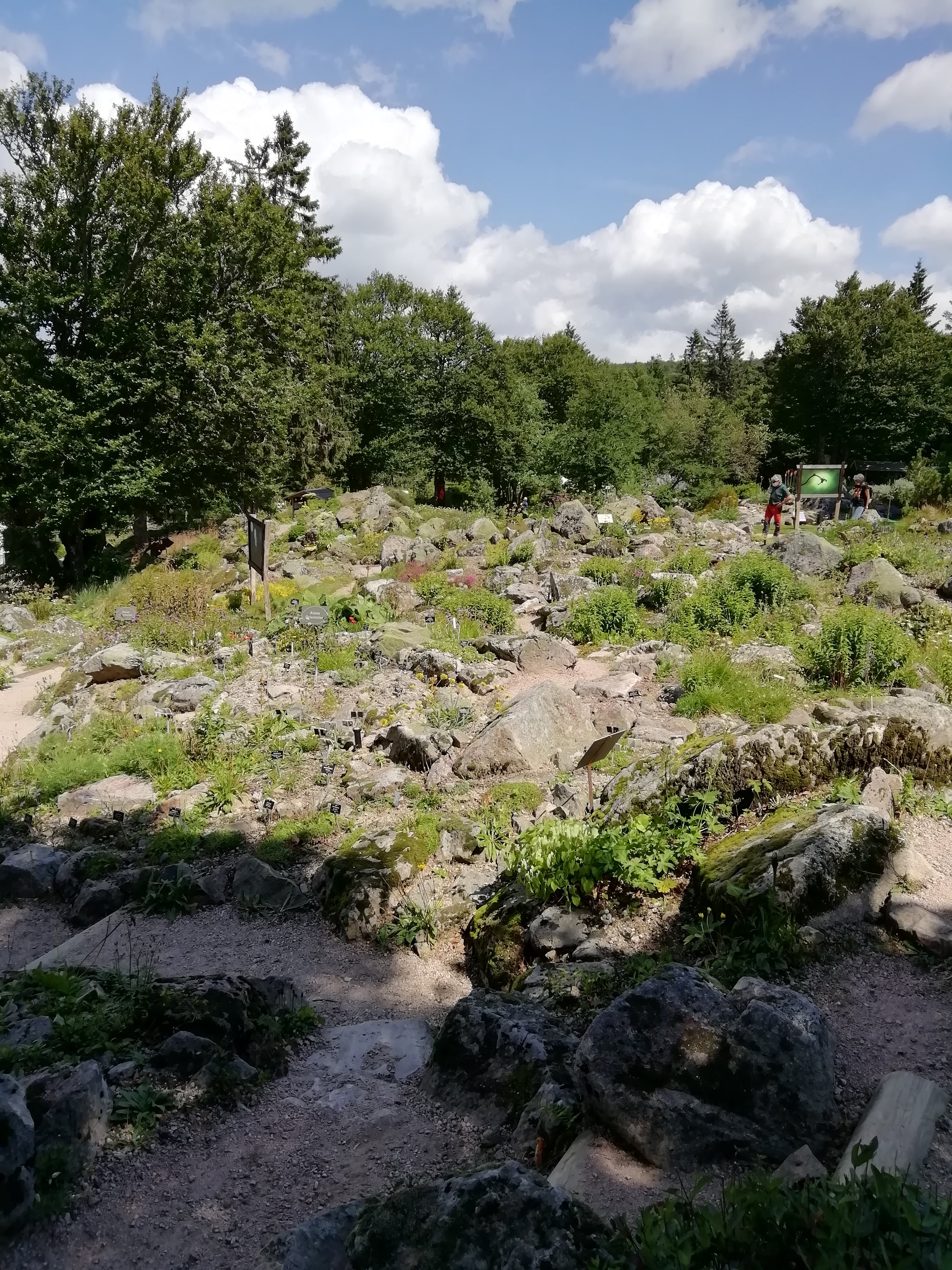 Photo n° 3 de l'avis de DELASSAULT.t fait le 14/08/2021 à 16:25