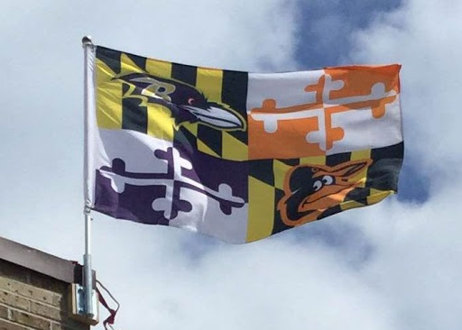 Sportswear Store «Raven Zone Sports Superstore», reviews and photos, 8821 orchard tree Ln, Towson, MD 21286, USA