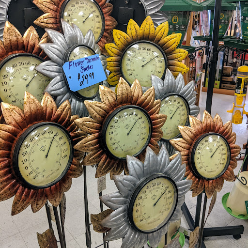 Hardware Store «True Value Midtown Hardware Tulsa», reviews and photos, 4311 E 31st St, Tulsa, OK 74135, USA