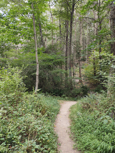 Tourist Attraction «Dover Stone Church», reviews and photos, 3128 NY-22, Dover Plains, NY 12522, USA