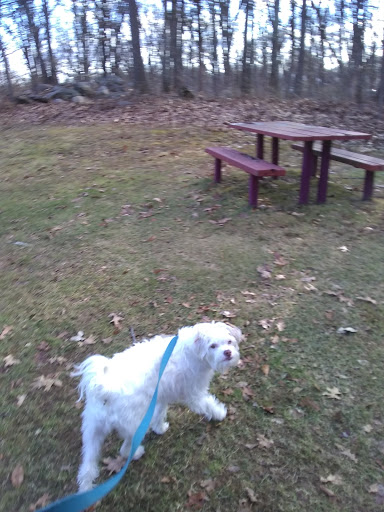 Memorial Park «Captain Stephen Olney Memorial Park», reviews and photos, Smithfield Rd, North Providence, RI 02904, USA