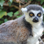 Photo n° 15 de l'avis de Mathilde.o fait le 25/04/2023 à 07:00 pour Zoo de La Flèche à La Flèche