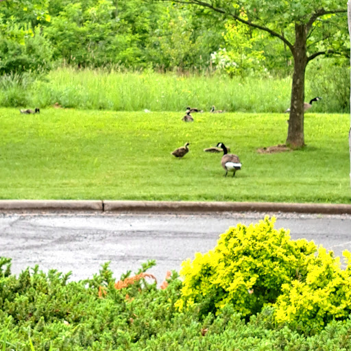 Tobacco Shop «Smokers Choice», reviews and photos, 1651 Nathaniel Poole Trail, Brockport, NY 14420, USA