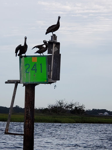 Tourist Attraction «Lighthouse Trolleys», reviews and photos, 559 Magnolia Ave, Saint Simons Island, GA 31522, USA