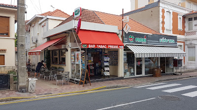 La civette à Arcachon