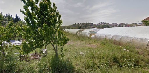 Yalova Temizlik