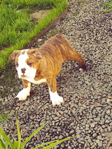 Pet Store «Pet City Pet Shops», reviews and photos, 750 Citadel Dr N # 2092, Colorado Springs, CO 80909, USA