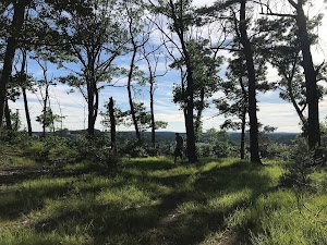 Prospect Hill, Waltham, Massachusetts - photo 6
