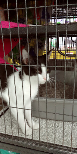 Pet Supply Store «Pet Supplies Plus», reviews and photos, 5708 State St, Saginaw, MI 48603, USA