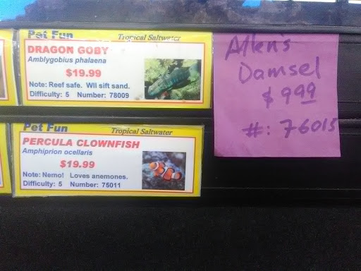 Pet Supply Store «Pet Fun At Harden Ranch Plz», reviews and photos, 1780 N Main St, Salinas, CA 93906, USA