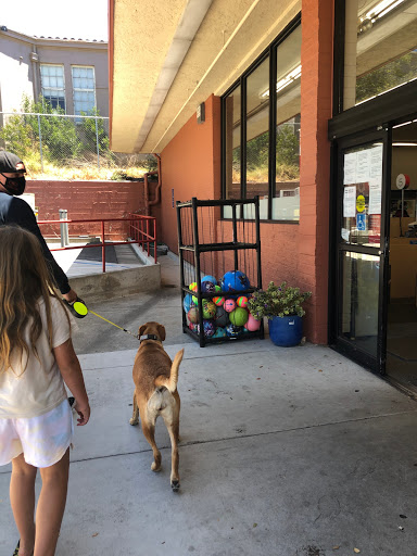 Drug Store «CVS», reviews and photos, 1451 Shattuck Ave, Berkeley, CA 94709, USA