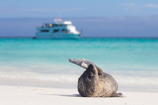 SA Expeditions image