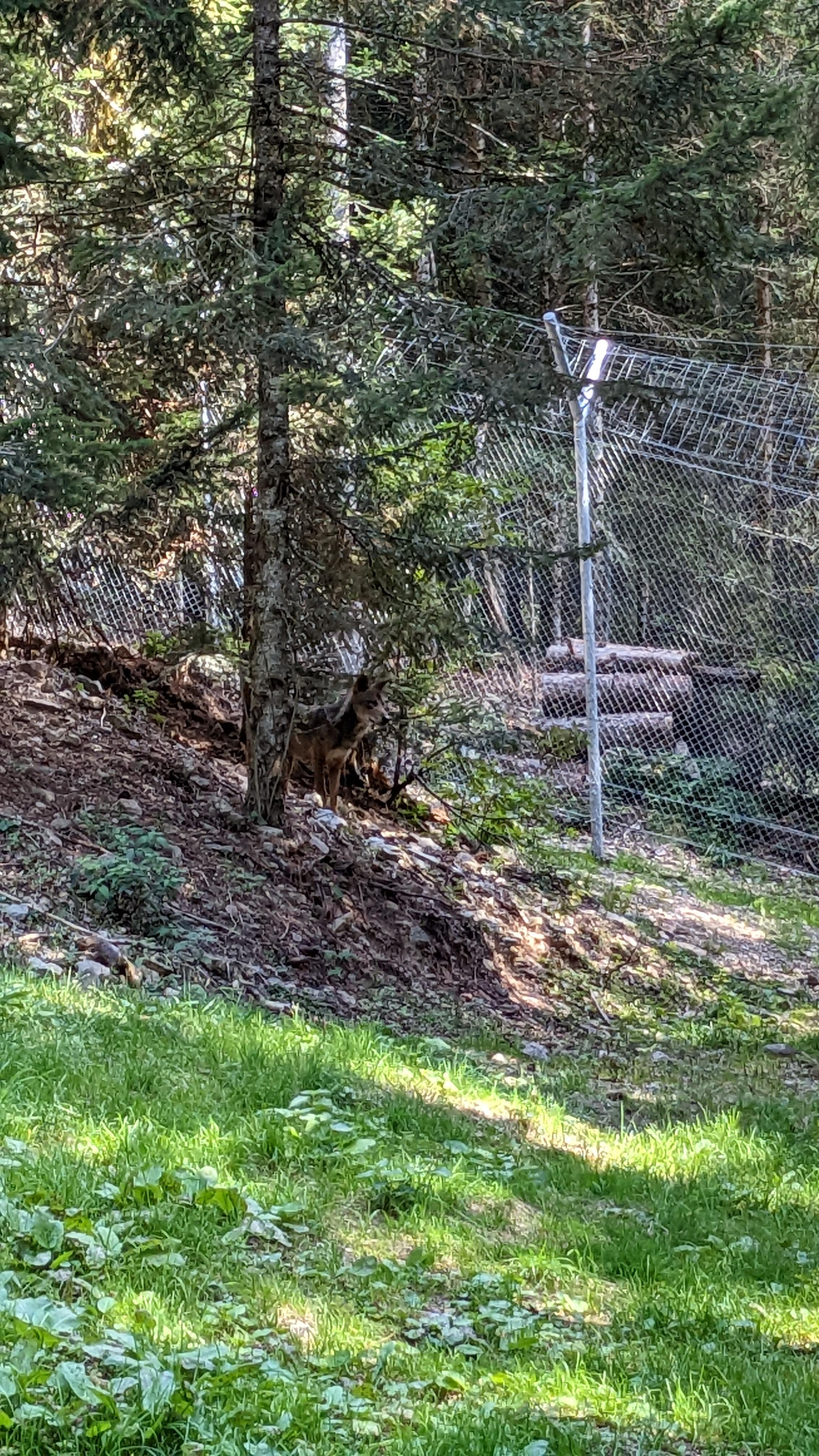 Photo n° 35 de l'avis de Florian.o fait le 11/09/2022 à 15:52