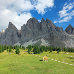 Photo n°2 de l'avis de Oscar.. fait le 03/08/2022 à 07:13 sur le  Gschnagenhardt-Alm à Villnöß