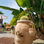 Photo n°17 de l'avis de Gianfranco.c fait le 23/08/2019 à 23:59 sur le  Semiramis Hotel de Charme Ischia à Forio