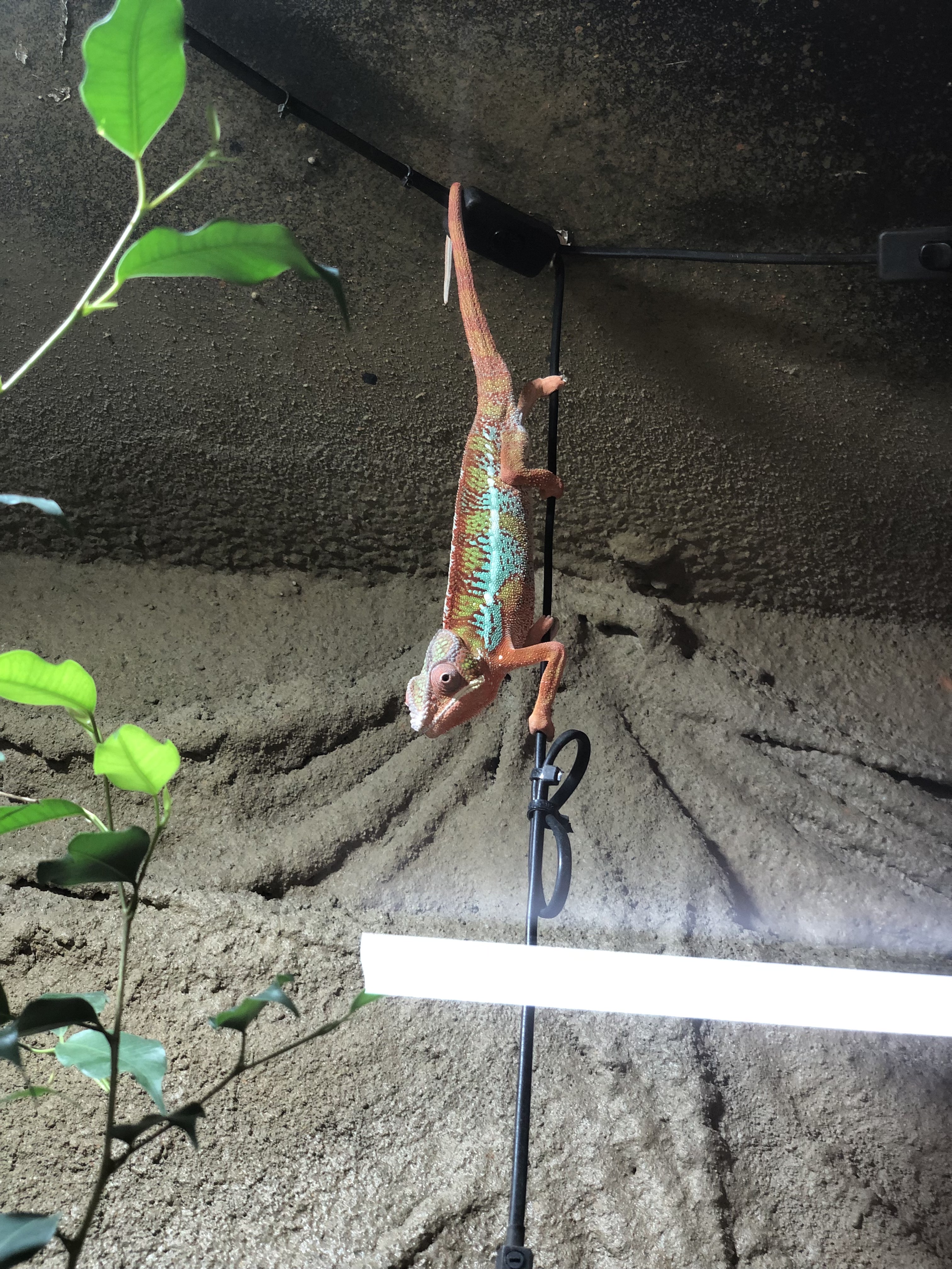 Photo n° 3 de l'avis de Nathalie.e fait le 29/07/2023 à 19:31