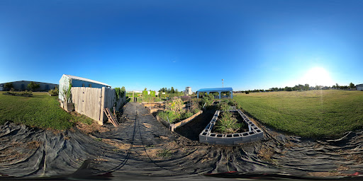 Non-Profit Organization «Helping Hands Inc», reviews and photos