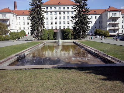 Lietuvos sveikatos mokslų universiteto ligoninė Kauno klinikos