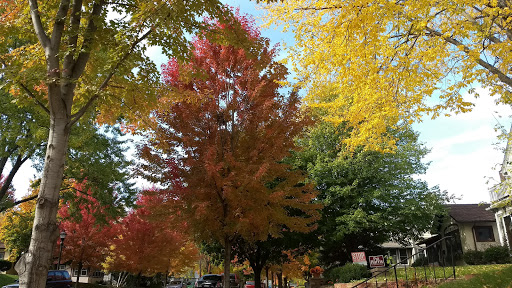 Recreation Center «Edgcumbe Recreation Center», reviews and photos, 320 Griggs St S, St Paul, MN 55105, USA