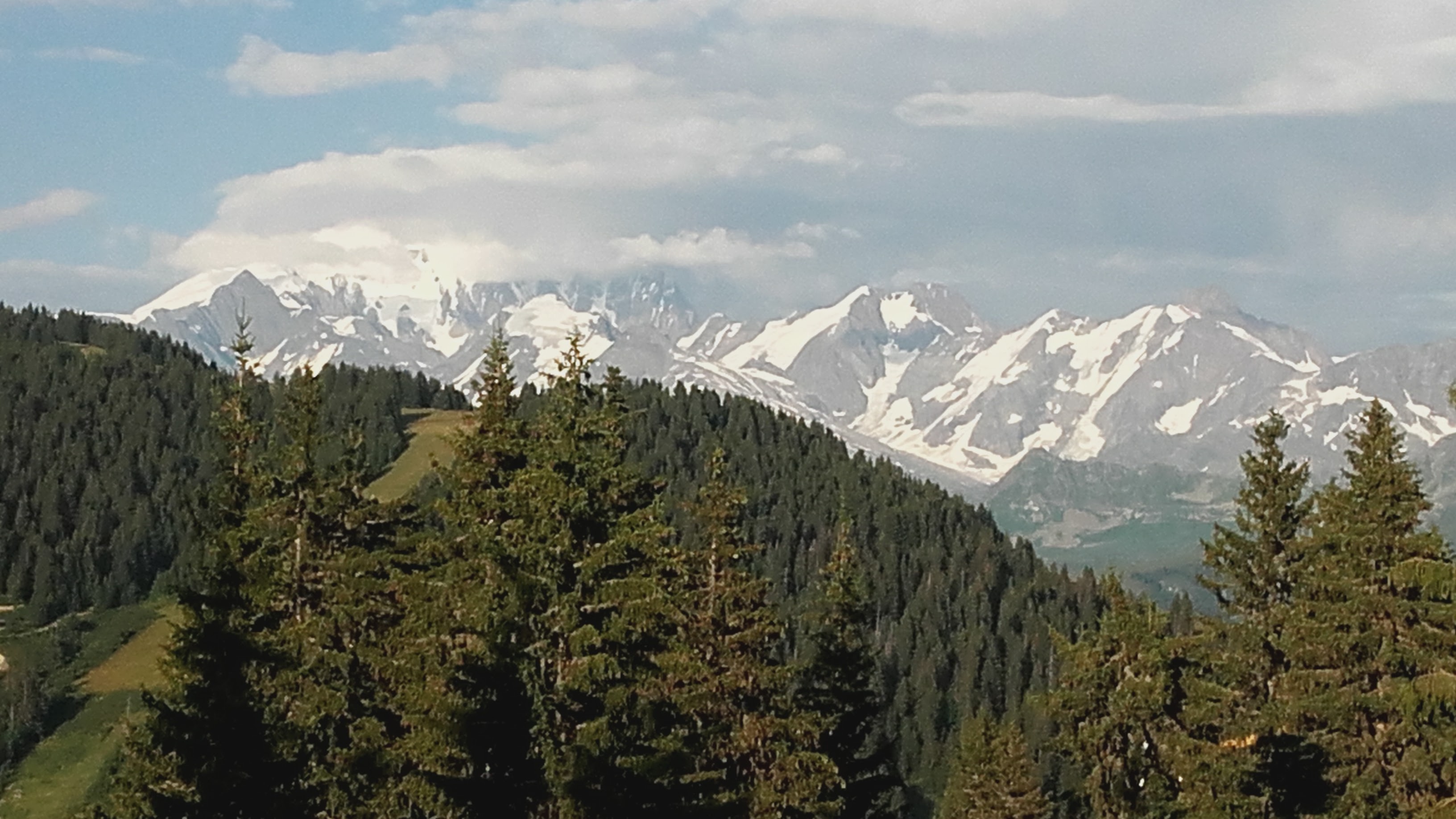 Photo n° 28 de l'avis de Lafon.r fait le 13/08/2018 à 10:24