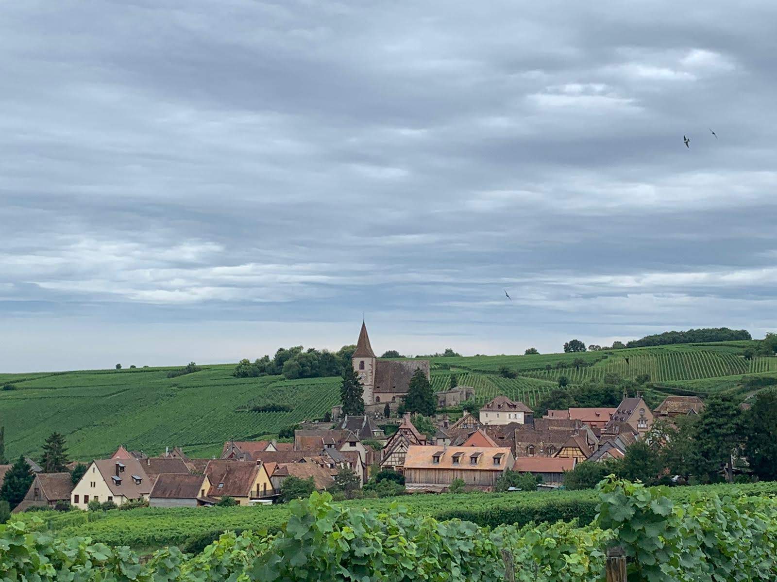 Photo n° 1 de l'avis de Jan.r fait le 20/08/2019 à 17:32