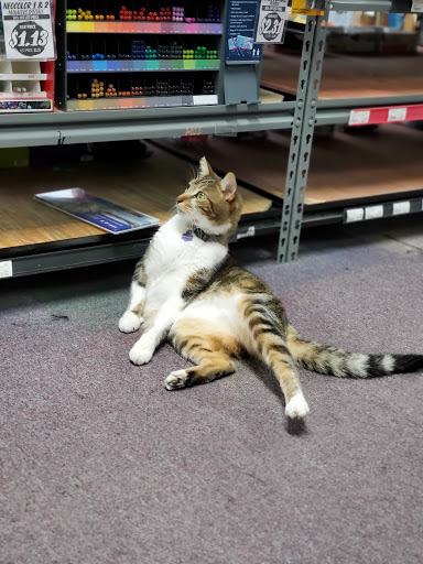 Art Supply Store «Artist & Craftsman Supply Miami», reviews and photos, 701 NW 27th Ave, Miami, FL 33125, USA