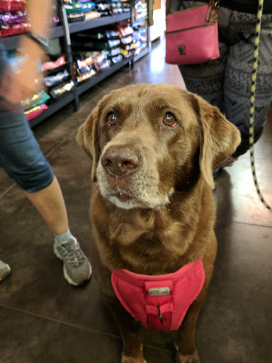 Pet Supply Store «Bow Wow & Meow», reviews and photos, 11607 Maumelle Blvd, North Little Rock, AR 72113, USA