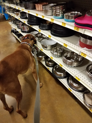 Pet Supply Store «PetSmart», reviews and photos, 2940 Chapel Hill Rd, Douglasville, GA 30135, USA