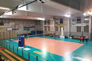 Pallavolo Casciavola asd image