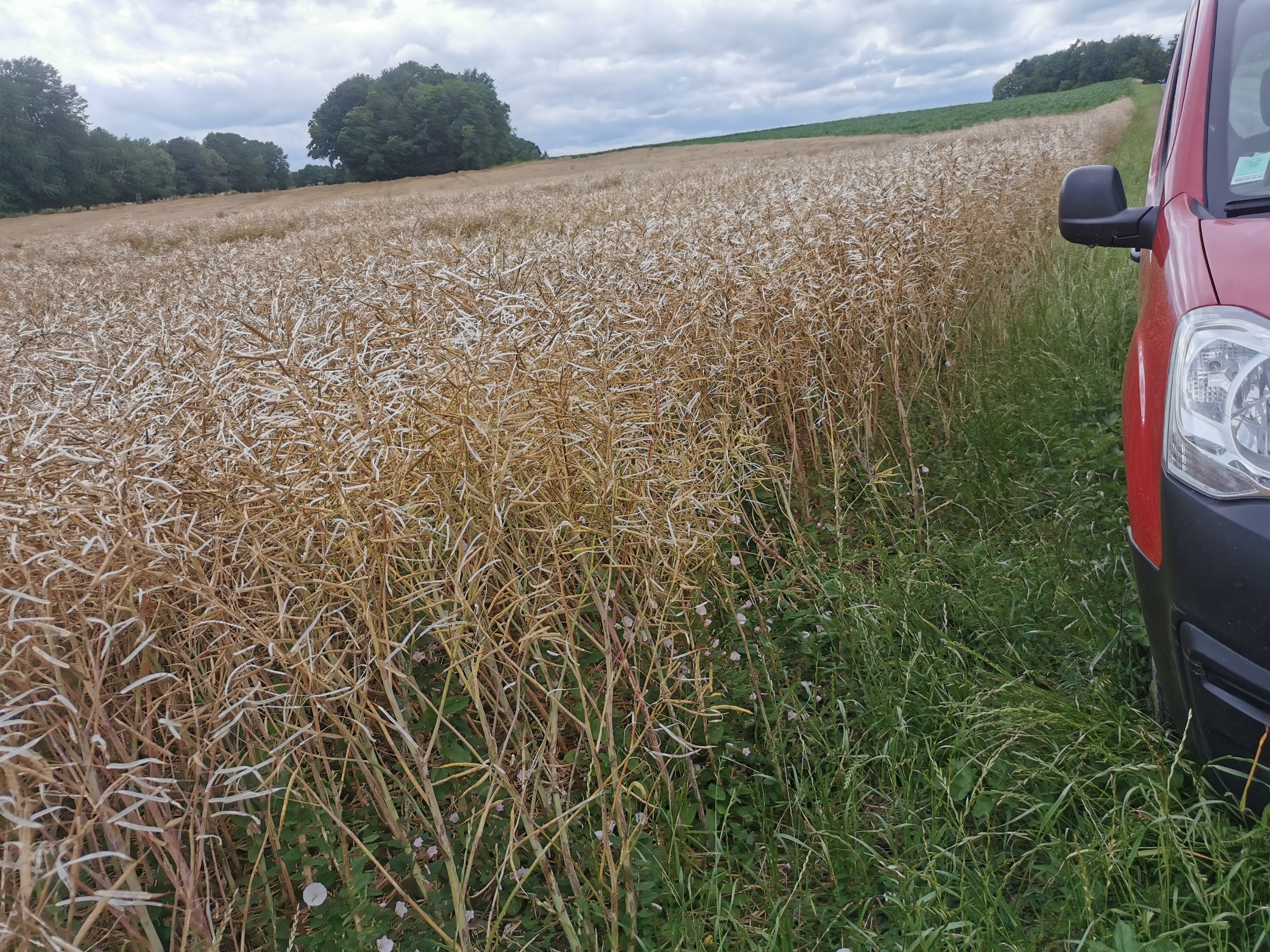 Photo n° 1 de l'avis de DANIEL.A fait le 19/04/2021 à 19:42