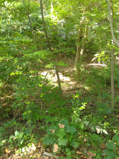 Tourist Attraction «Wabash Frisco & Pacific Railway», reviews and photos, 101 Grand Ave, Glencoe, MO 63038, USA