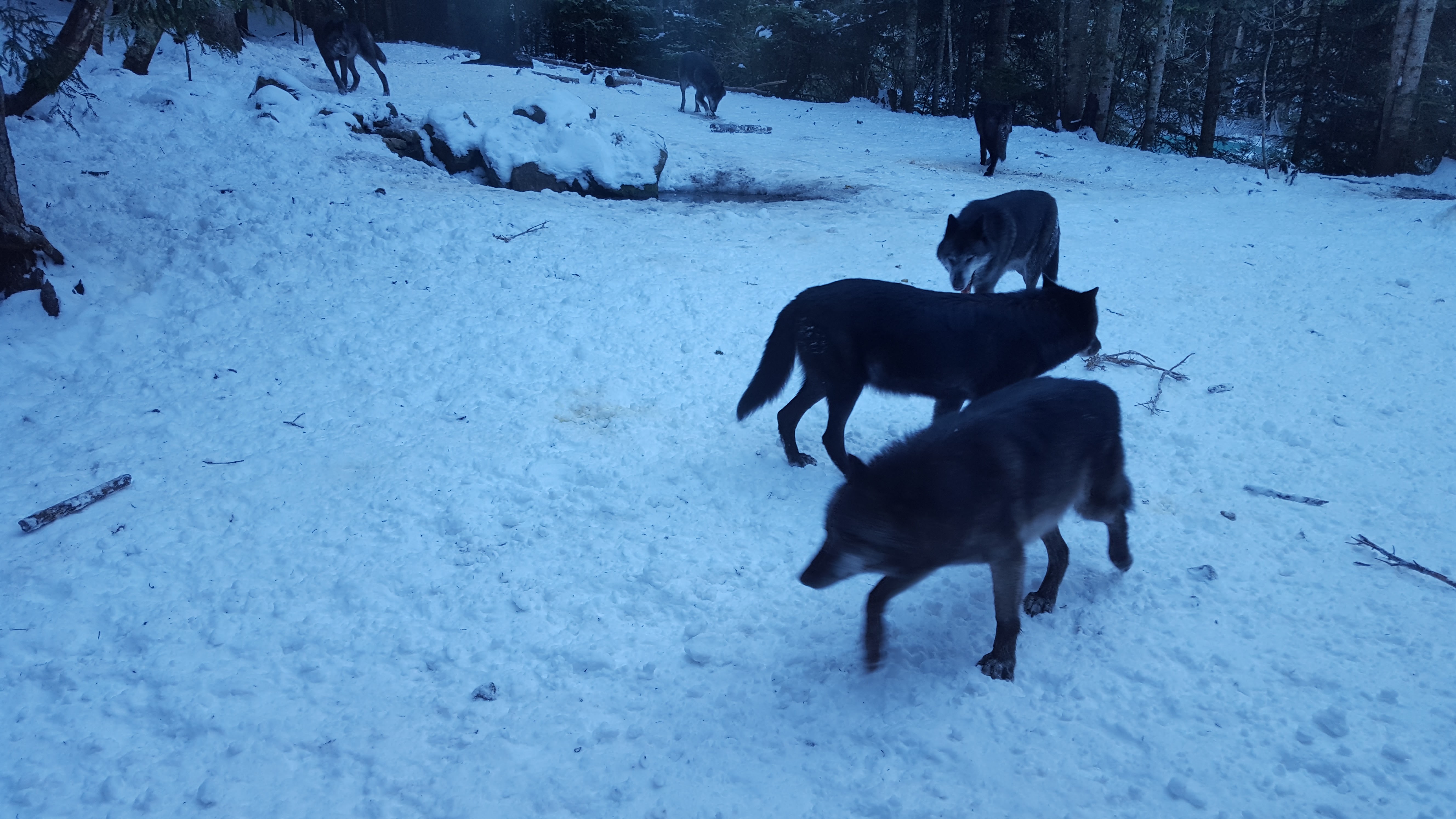Photo n° 16 de l'avis de Pacôme.l fait le 16/01/2017 à 15:09